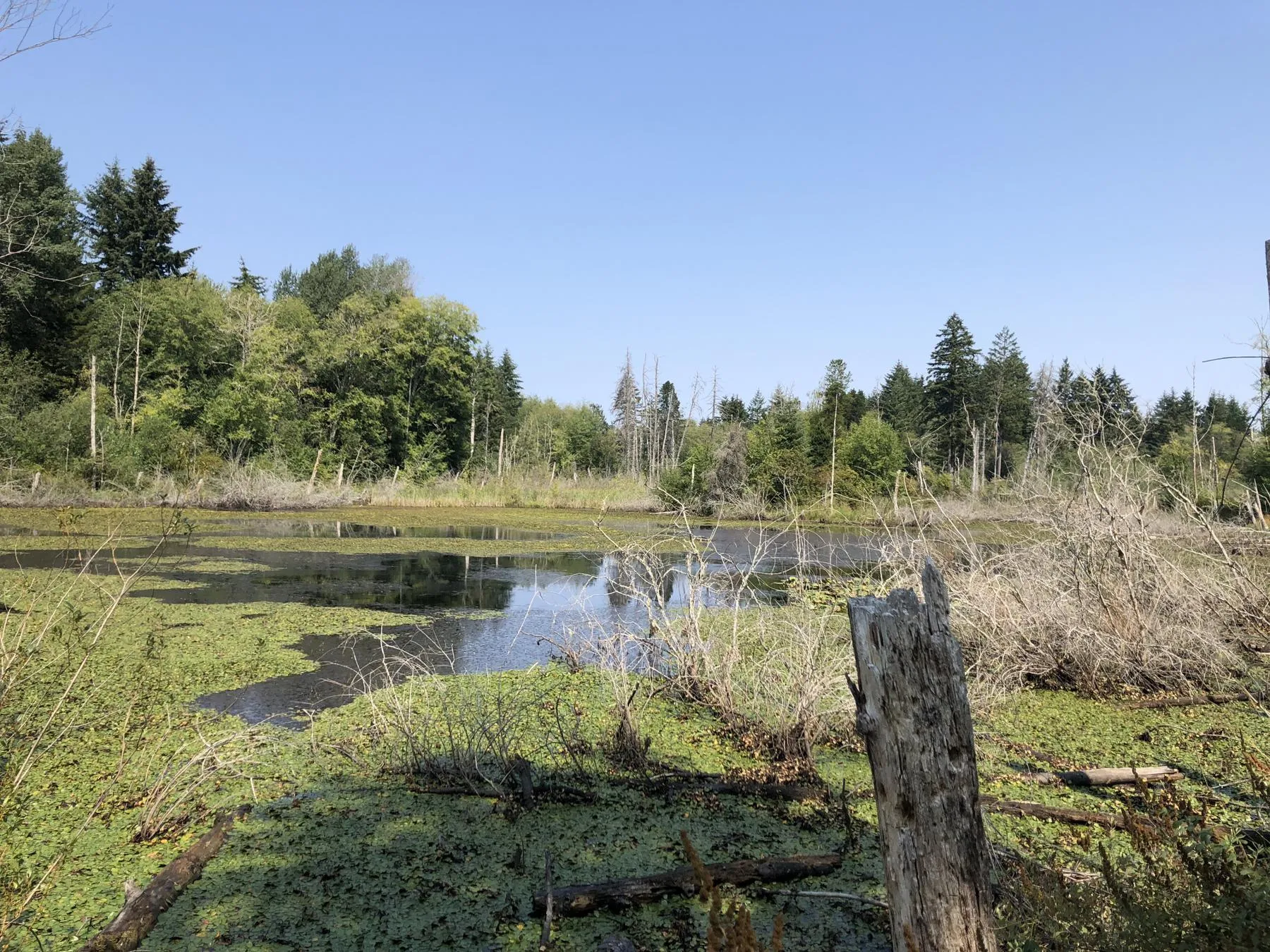 Meadowlake Pond
