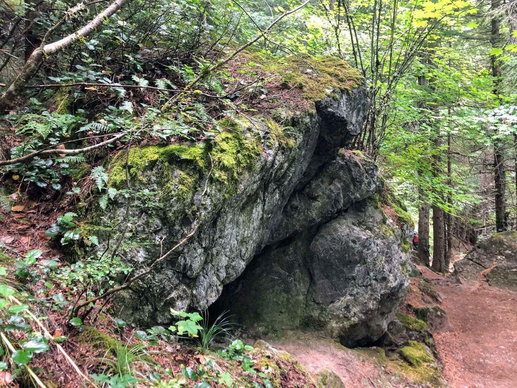 These rocks used to be under an ocean?