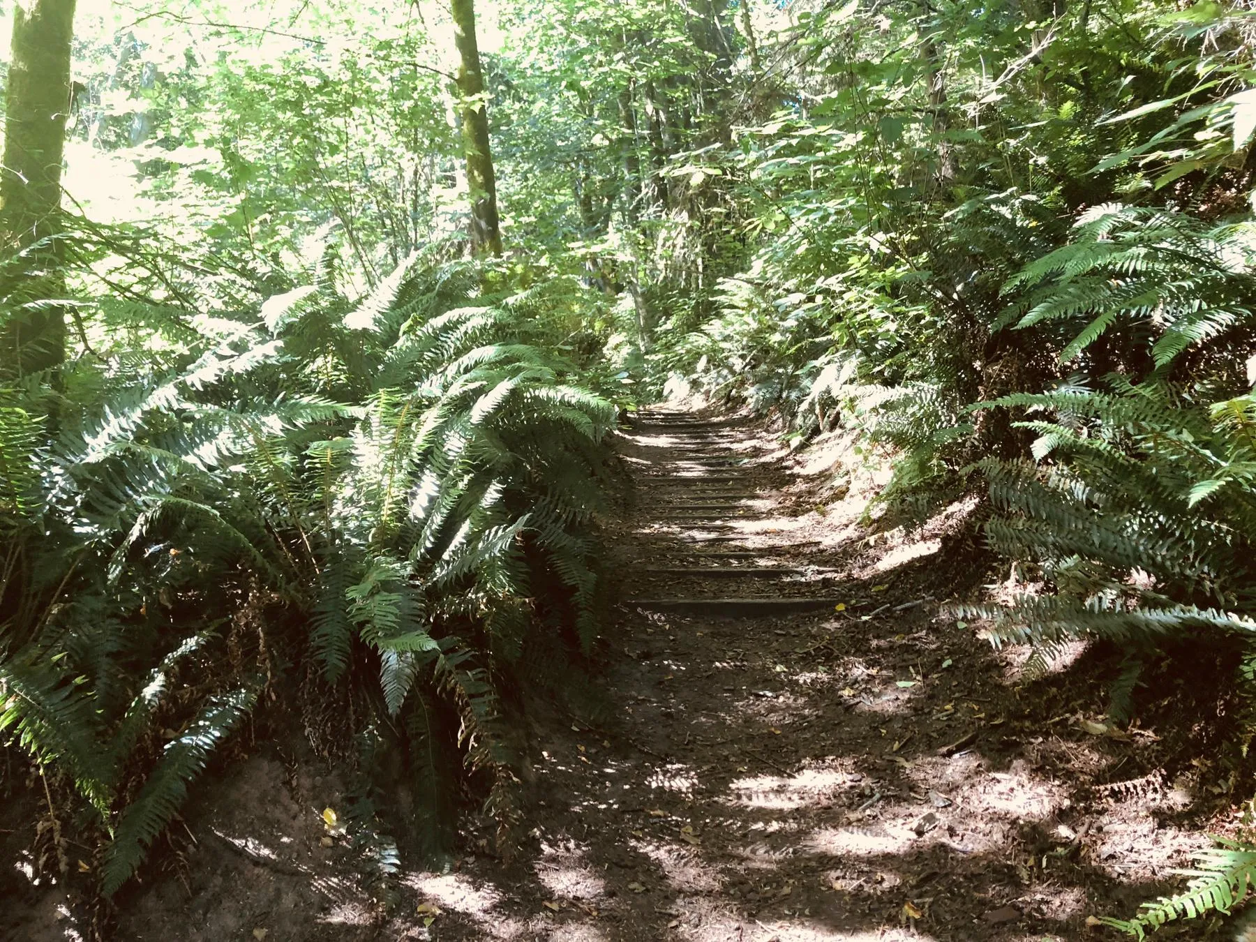 stairs leading uphill